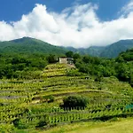 Terra Buona *